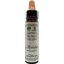 DR.BACH AINSWORTHS MIMULUS 10ML