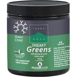 TERRANOVA Green Child Sneaky Greens Super-shake 180gr