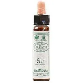 DR.BACH Ainsworths Elm 10ml
