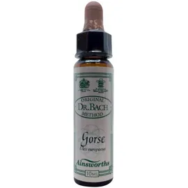 DR.BACH Ainsworths Gorse 10ml