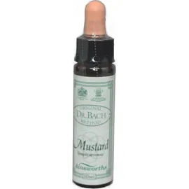 DR.BACH Ainsworths Mustard 10ml