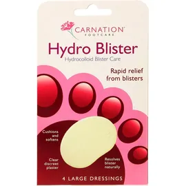 Vican Carnation Hydrocolloid Blister Care 4τμχ