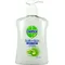 Εικόνα 1 Για Dettol Soft On Skin Aloe Vera Liquid Soap 250ml