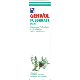 Gehwol Fusskraft Mint 125ml