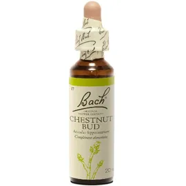 BACH Chestnut Bud -Ανθοΐαμα Μάτι αγριοκαστανιάς Νο7 - 20ml