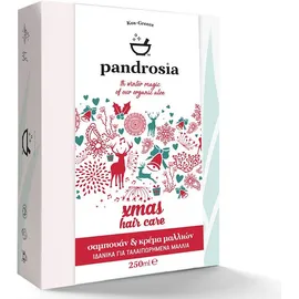 PANDROSIA Χριστουγεννιάτικο Hair Care, Natural Shampoo - 250ml & Natural Conditioner - 250ml