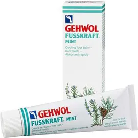 Gehwol Fusskraft Mint Αντιφλογιστικό Βάλσαμο για Πέλματα & Γάμπες, 75 ml