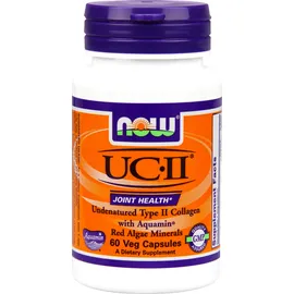 Now UCII 800 mg, (Undernatured Type II Collagen) 60 vcaps
