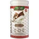 Prevent Basic Shake Σοκολάτα 465gr