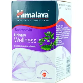 Himalaya Wellness Urinary Wellness 60 φυτικές κάψουλες