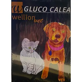 Wellion Gluco Calea Μετρητής Σακχάρου Για Ζώα 1 Τεμάχιο