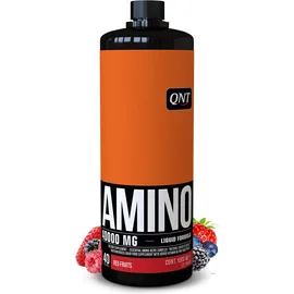 QNT Amino Acid Liquid 4000 Red Fruits Flavour 1 L