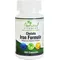 Εικόνα 1 Για Natural Vitamins Chelate Iron Formula 100 Caps Φόρμουλα Χηλικού Σιδήρου