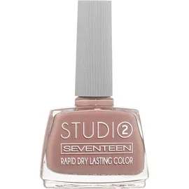 Seventeen studio rapid dry lasting color 101