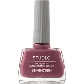 SEVENTEEN STUDIO RAPID DRY LASTING COLOR 113