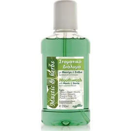 ANEMOS Mastic &amp; Herbs Mouthwash Στοματικό Διάλυμα με Μαστίχα &amp; Στέβια με Γεύση Δυόσμου 250ml
