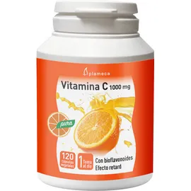 PLAMECA Vitamin C 1000mg Συμπλήρωμα Διατροφής Βιταμίνης C με Βιοφλαβονοειδή 120caps