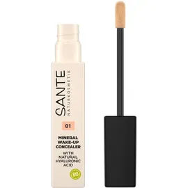 SANTE Mineral Make-up Concealer Καλυπτικό Concealer για Μαύρους Κύκλους &amp; Ατέλειες Απόχρωση 01 Neutral Ivory 8ml