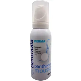 Αφρός με Πανθενόλη Bentholia Derma Panthenol Mousse 100ml