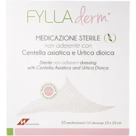 Fylladerm Αποστειρωμένο μη Κολλητικό Επίθεμα 10cmx10cm Βοηθά στην Ανάπλαση του Δέρματος 10 Τεμάχια