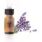 Εικόνα 1 Για Lygda Lab. Lavender Essential Oil, Αιθέριο Έλαιο Λεβάντα