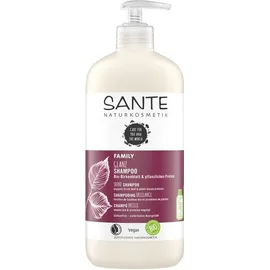 SANTE Family Shine Shampoo Σαμπουάν Λάμψης με Βιολογική Σημύδα &amp; Φυτική Πρωτεΐνη για Κανονικά &amp; Θαμπά Μαλλιά 500ml
