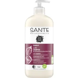SANTE Family Shine Shampoo Σαμπουάν Λάμψης με Βιολογική Σημύδα &amp; Φυτική Πρωτεΐνη για Κανονικά &amp; Θαμπά Μαλλιά 950ml