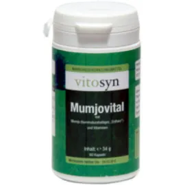 Metapharm Vitosyn Mumjovital 60 κάψουλες