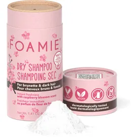 Foamie Dry Shampoo Berry Blossom Ξηρό Σαμπουάν για Καστανά & Σκούρα Μαλλιά 40 g