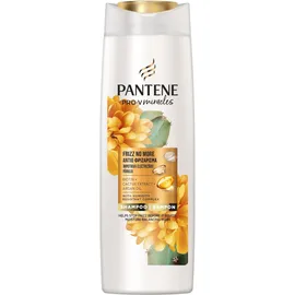 PANTENE Cactus Frizz More Σαμπουάν για Λείανση για Όλους τους Τύπους Μαλλιών 300ml