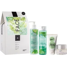 Panthenol Extra Promo Face Cleansing Milk 3 in 1 250ml, Detox Tonic Lotion 200ml, Face and Eye Cream 50ml, Green Clay Facial Mask 75ml