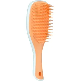 Tangle Teezer The Mini Ultimate Detangler Mini Βούρτσα Μαλλιών Ice Blue & Sweet Orange 1 Τεμάχιο